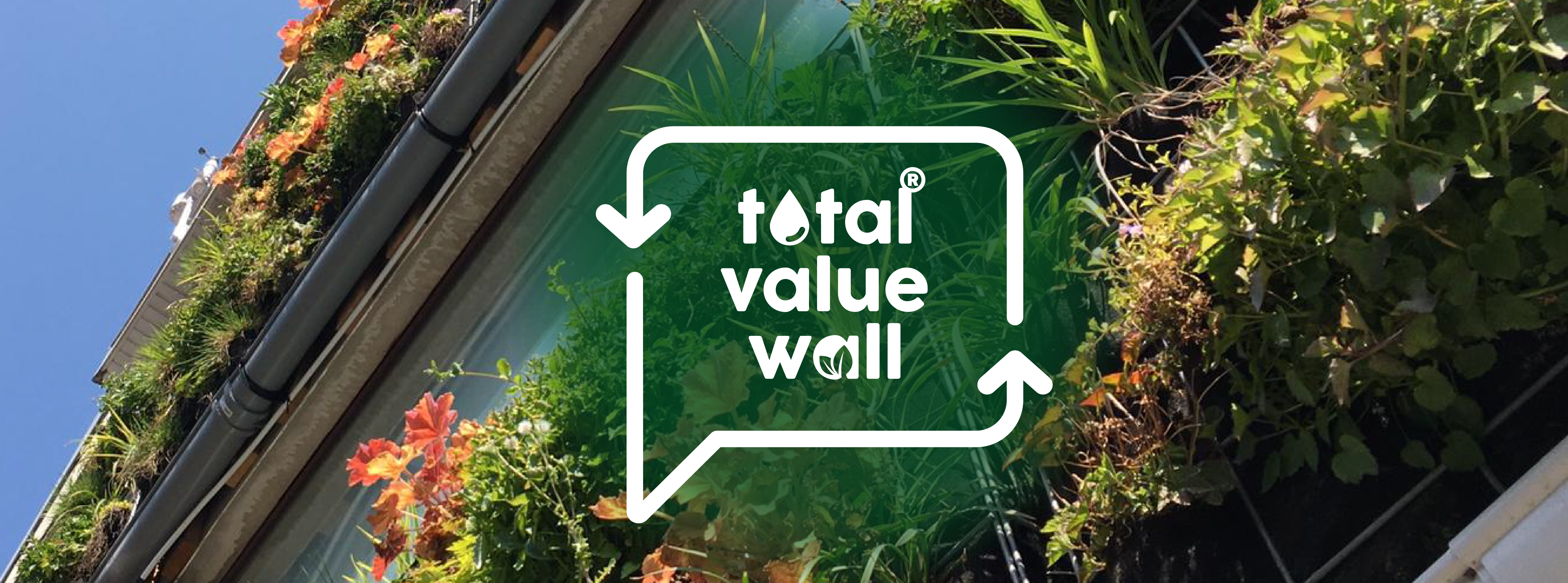 TotalValueWall banner logo