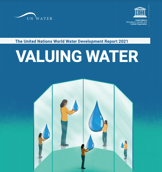 Lees hier het volledige 2021 UN World Water Development Report 'Valuing Water'