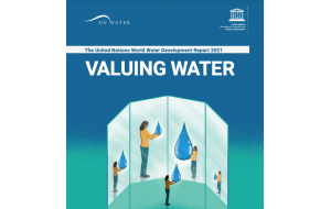 2021 UN World Water Development Report Valuing Water